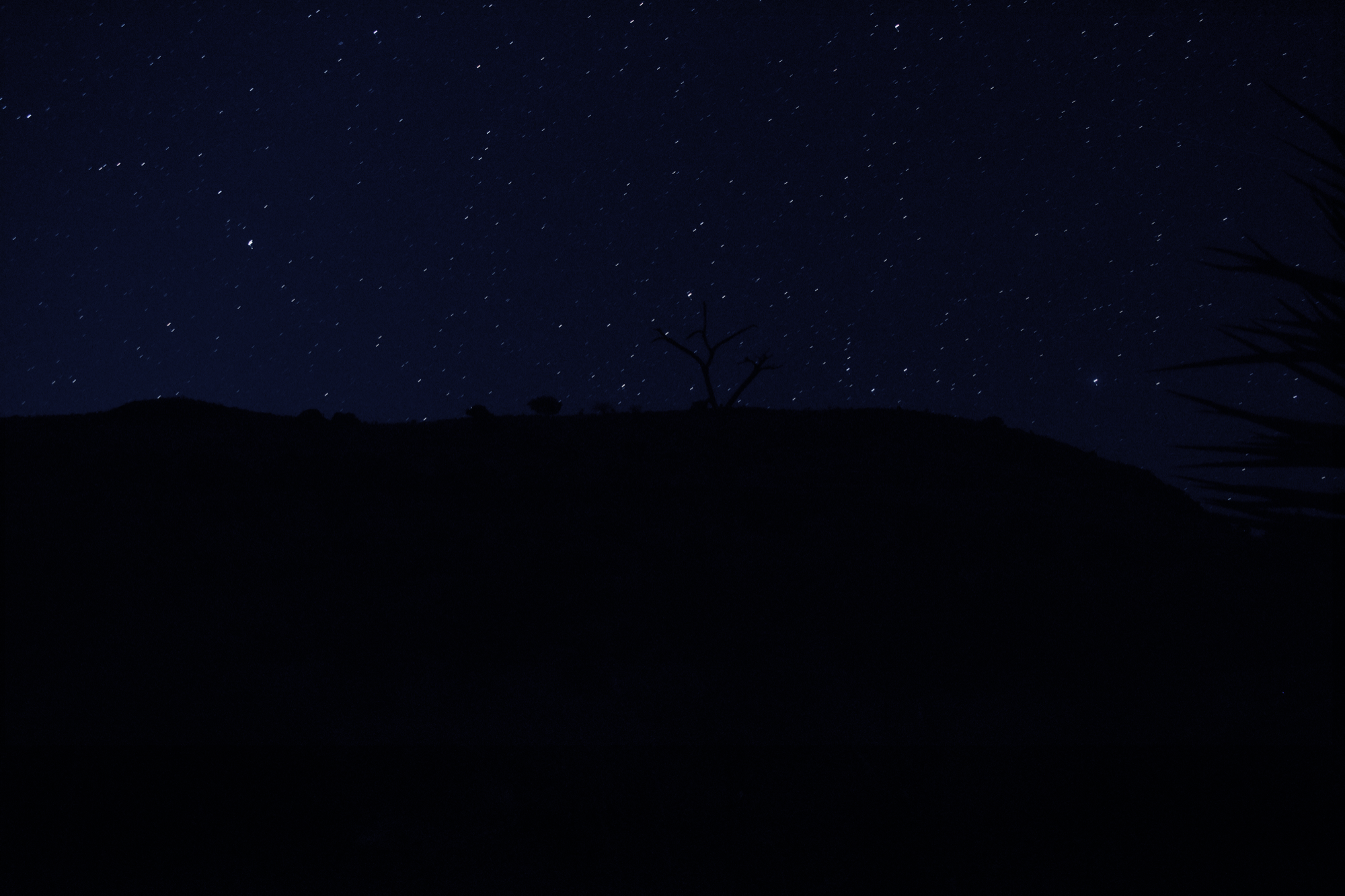 Night sky